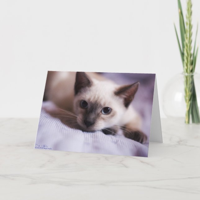 Deviously gulligt kort (Framsida)