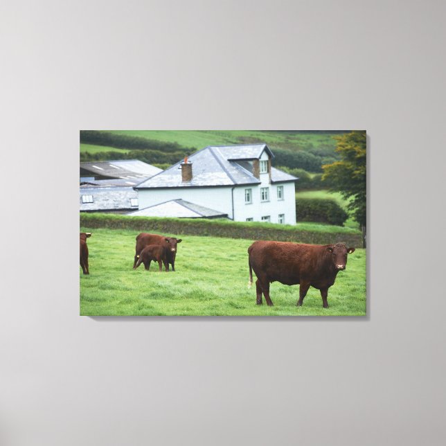 Devon, England Canvastryck (Framsida)