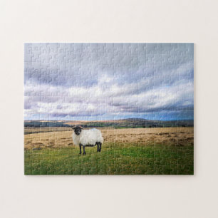 Devon England Ligcape and Sheep Pussel