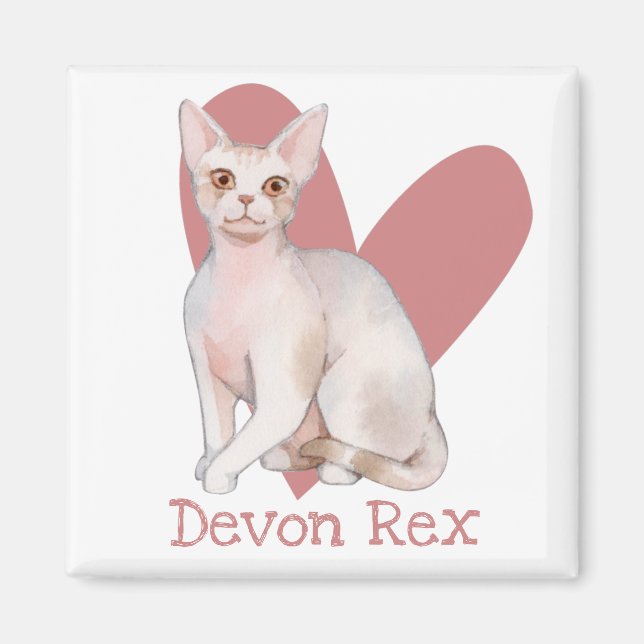 Devon Rex Cat Watercolor Kattunge Rosa Heart Magnet (Framsidan)