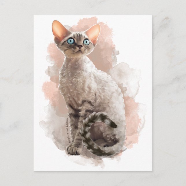 Devon Rex Sofi Vykort (Framsida)