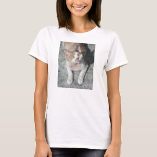 devon rex söt t-shirt