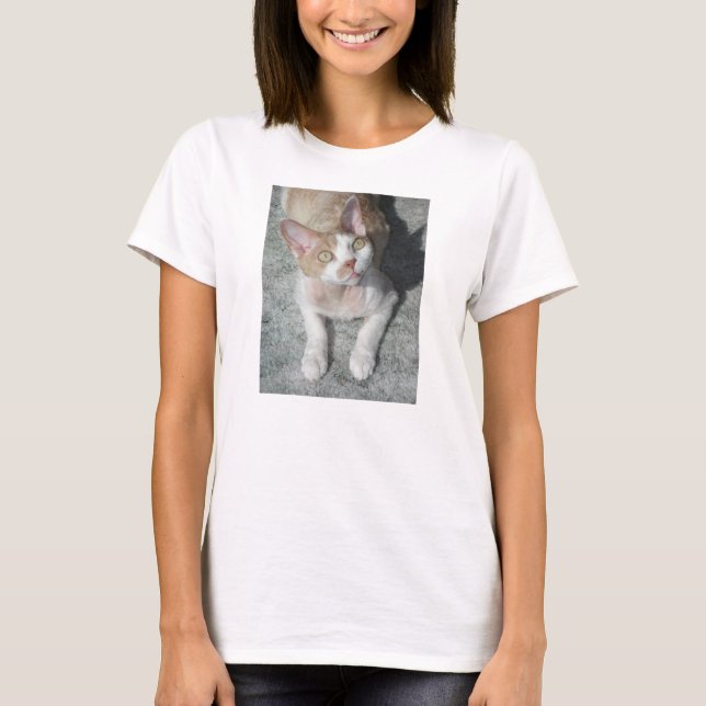 devon rex söt tee (Framsida)