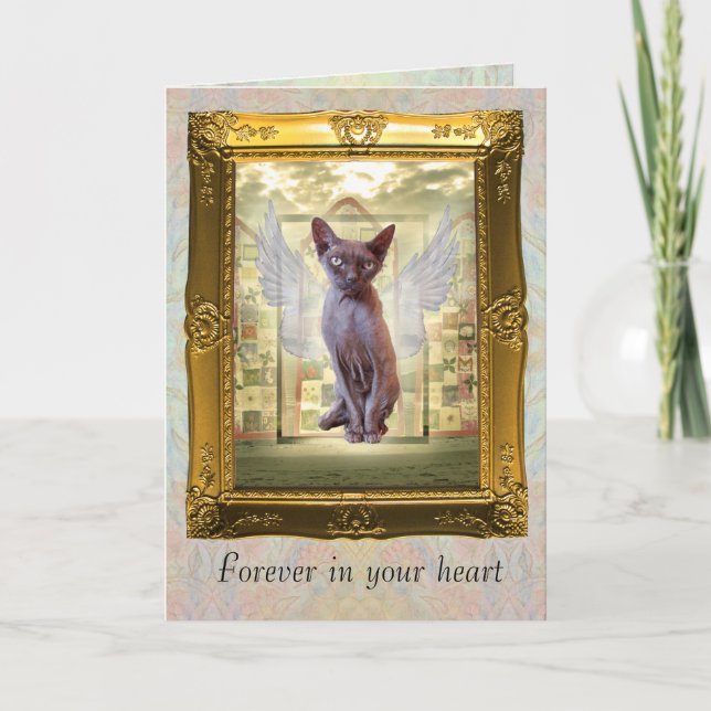 Devon Rex Sphynx Angel Cat Pet Sympathy Kort (Framsida)