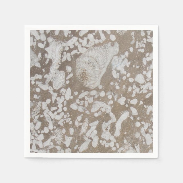 Devonian Fossil Gorge Pappersservett (Framsidan)