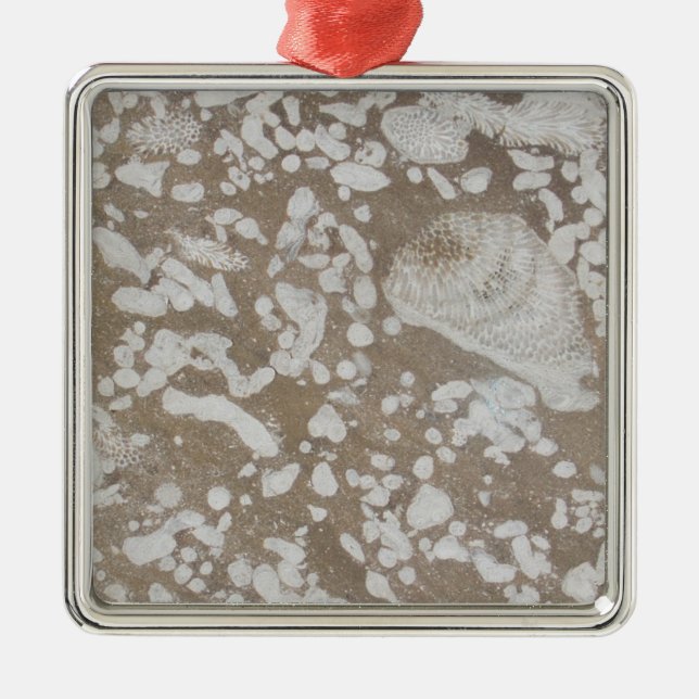 Devonic Fossil Brown & White jul Ornament (Framsidan)