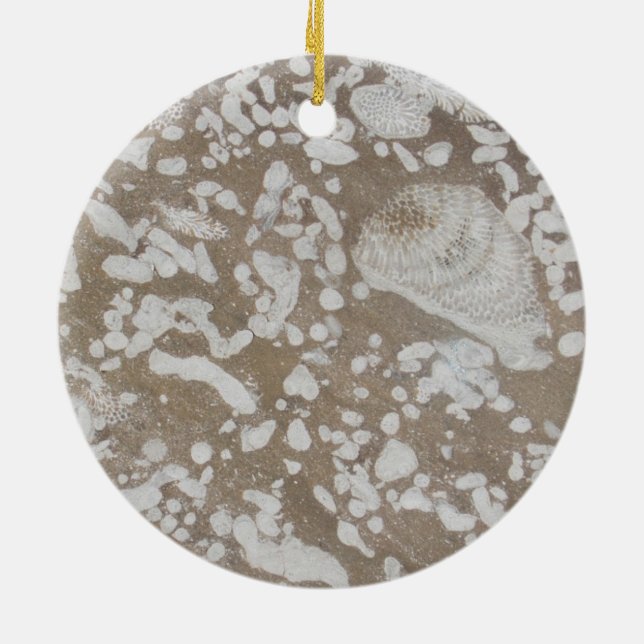 Devonic Fossil Brown & White Ornament (Baksidan)