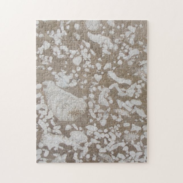 Devonic Fossil Brown & White Puzzle Pussel (Vertikal)