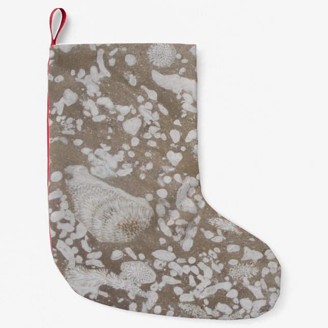 Devonic Fossil Gorge Liten Julstrumpa (Framsidan)