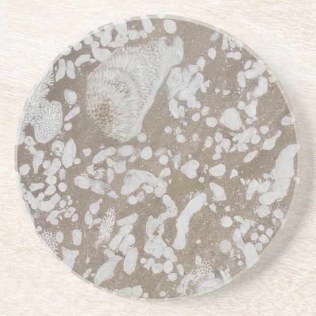 Devonic Fossil Sandstone Drink Underlägg (Framsidan)