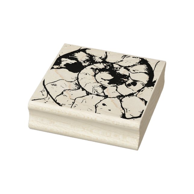 Devonshire Ammonite fossil spiral Stämpel (Stämpel)