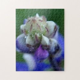 Dew Dappled Lupine Pussel