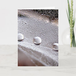 Dew Drop Astral Stories in Natature Kort