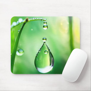 Dew Drop on Grass Musmatta