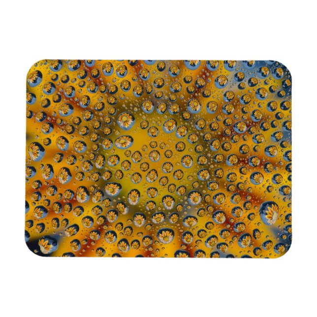 Dew Drop reflektion av blomman, Crescent City. Magnet (Horisontell)