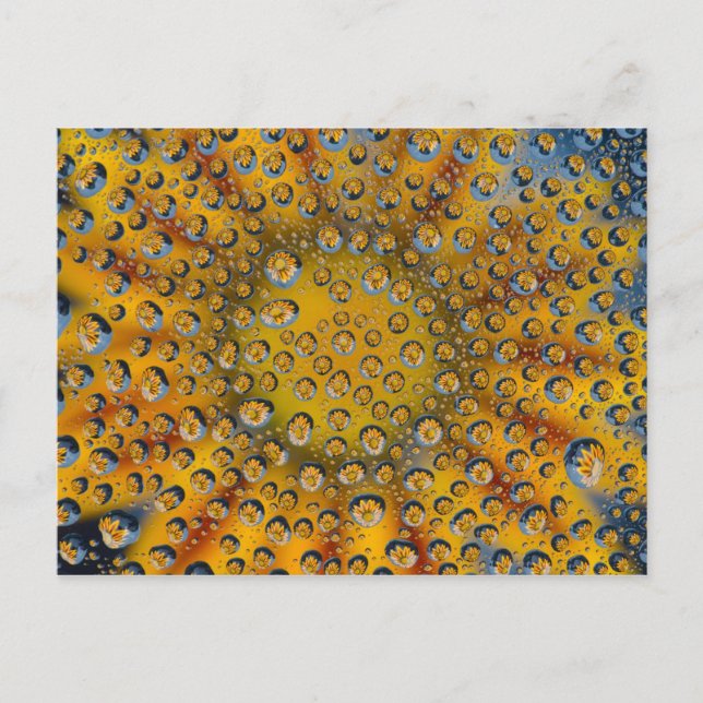 Dew Drop reflektion av blomman, Crescent City. Vykort (Framsida)