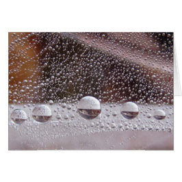 Dew Drop Yin Yang fredligt naturkort med Dikt Hälsningskort