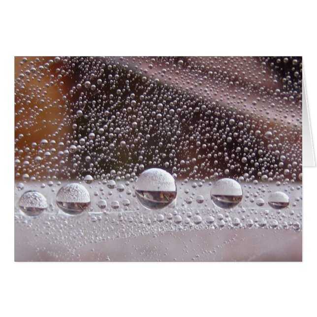 Dew Drop Yin Yang fredligt naturkort med Dikt Hälsningskort (Framsidan Horizontal)