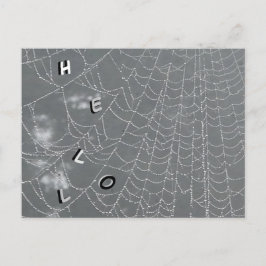 Dew Droppar Spindelnät HEJ Postcard Vykort