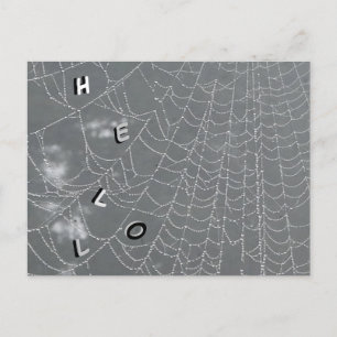 Dew Droppar Spindelnät HEJ Postcard Vykort