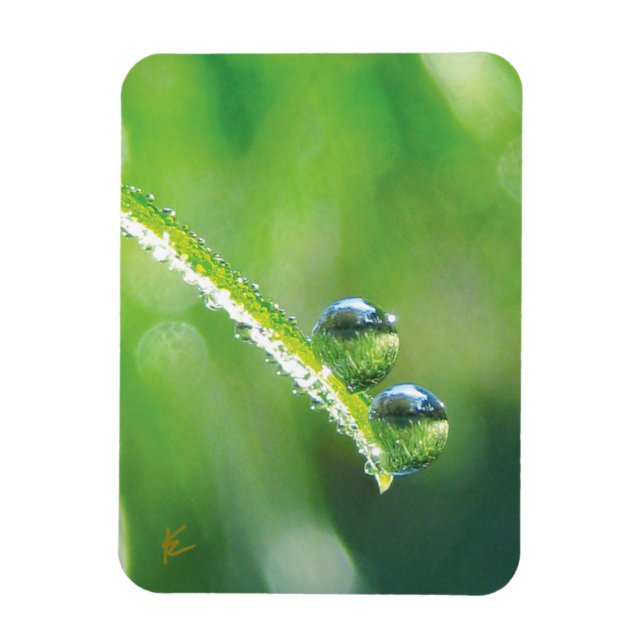 Dew Drops on Green Grass Peaceful Nature Magnet (Vertikal)