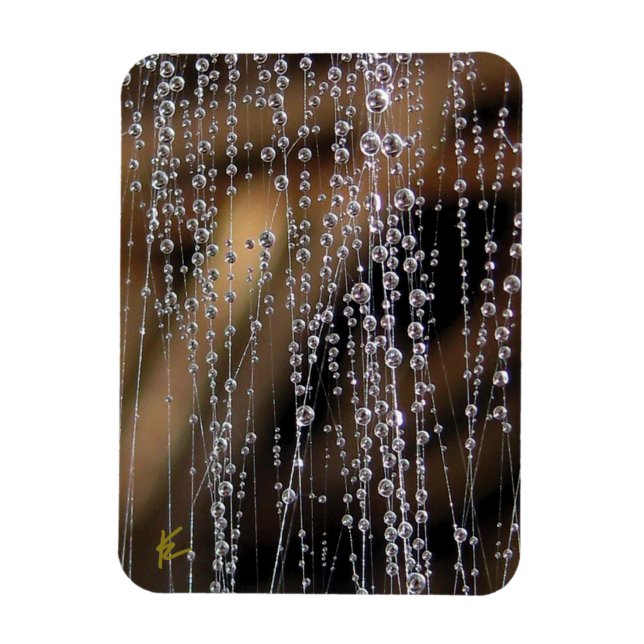 Dew Drops Sparkle on Spider Web Meditation Magnet (Vertikal)