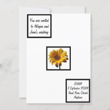 Dew Drots Daisy Bröllop