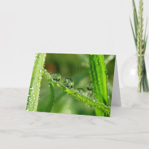 Dew Drots på Grönt Grass Poetry of Nature Kort