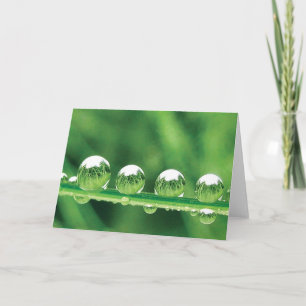 Dew Drots på Grönt Grass Poetry of Nature Kort