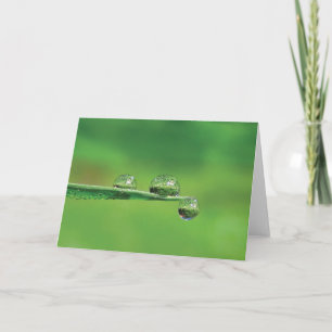 Dew Drots på Grönt Grass Poetry of Nature Kort