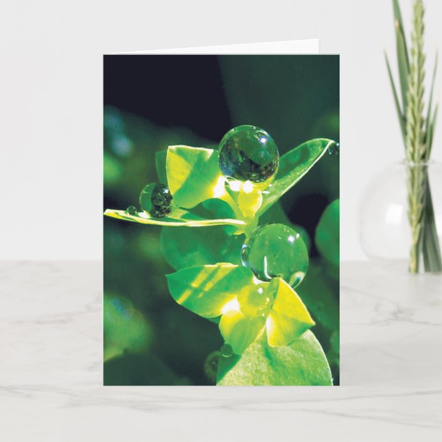 Dew Drots på Grönt Petals fredliga natur Kort (Framsida)