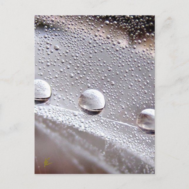 Dew Drots på Spindelnät Galaxy Nature Vykort (Framsida)