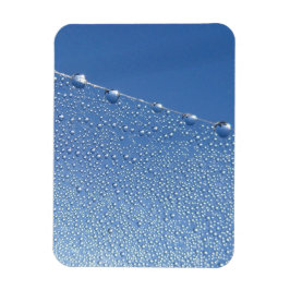 Dew Drots på Spindelnätet mot Blå himmel Magnet