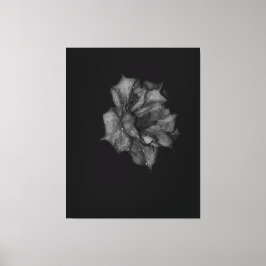 Dew Kissed Petals i mörkret Canvastryck