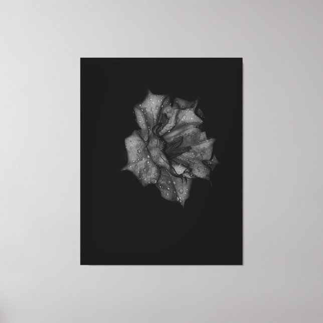 Dew Kissed Petals i mörkret Canvastryck (Framsida)