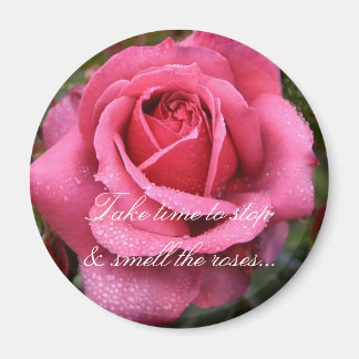 Dew Kissed Rosa ros! Magnet