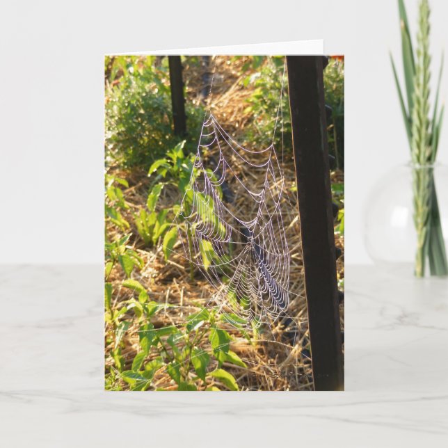 Dew- och Spindelnät-droppkort (tomt) Kort (Framsida)