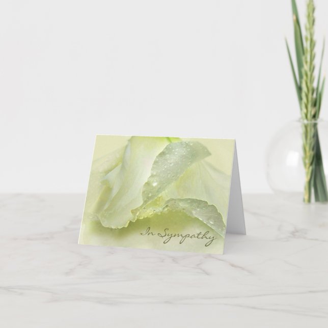 Dew on Ivory Petals Sympathy CondolCard Kort (Framsida)