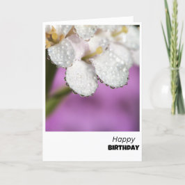 DewDrop Delight Birday Card Tack Kort