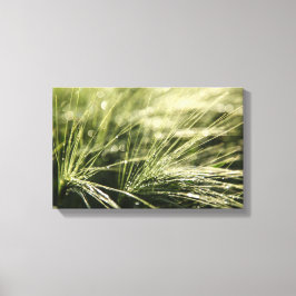 Dewdroppar Bokeh Canvastryck