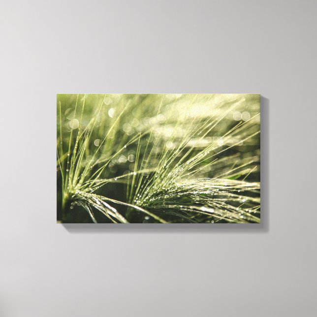 Dewdroppar Bokeh Canvastryck (Framsida)