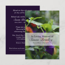 Dewdroppe Pansy Firande of Life-inbjudan