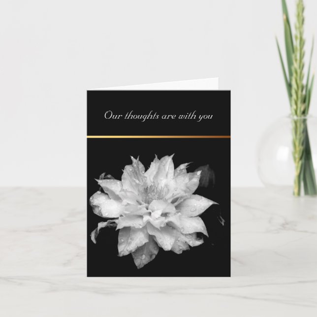 Dewdros Clematis 3 Condolences Sympathy Note Card Tack Kort (Framsida)