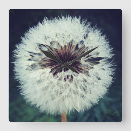 Dewy Dandelion Clock...Clock! Fyrkantig Klocka