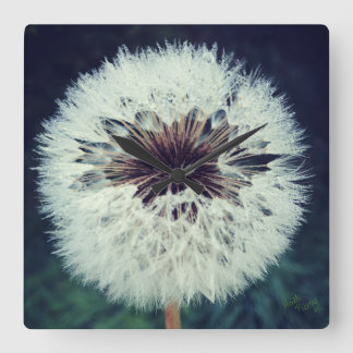 Dewy Dandelion Clock...Clock! Fyrkantig Klocka
