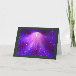 Dewy Morning Glory Blank Kort