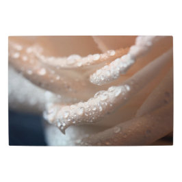 Dewy Peach Ro Metall Wall Art
