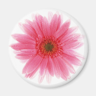 Dewy Rosa Gerbera Flower Magnet