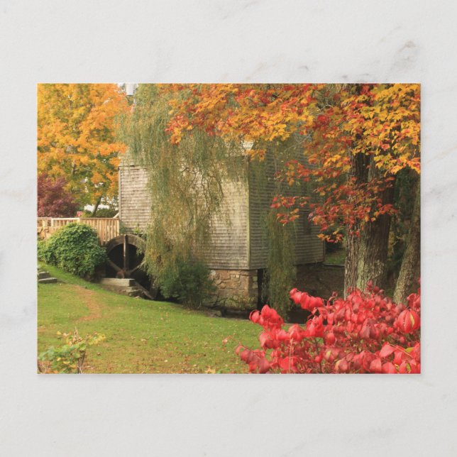 Dexter Grist Mill Sandwich Cape Cod Vykort (Framsida)