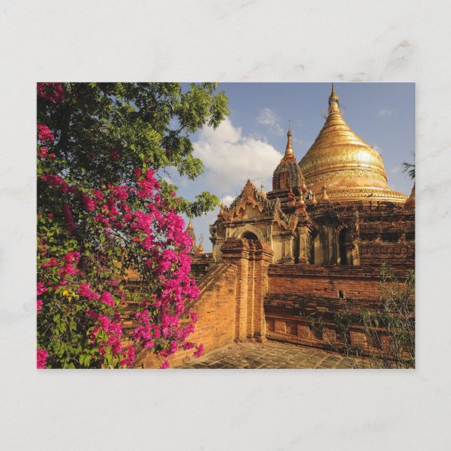 Dhamma Yazaka Pagoda i Bagan (Pagan), Myanmar Vykort (Framsida)